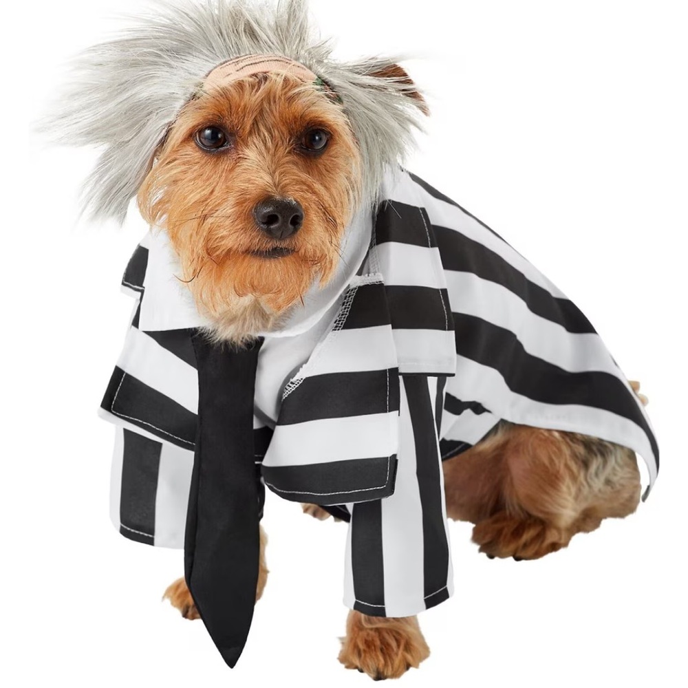 Beetlejuice Costume